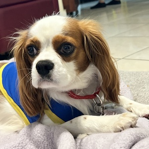 Fundraising Page: Karrah Fort